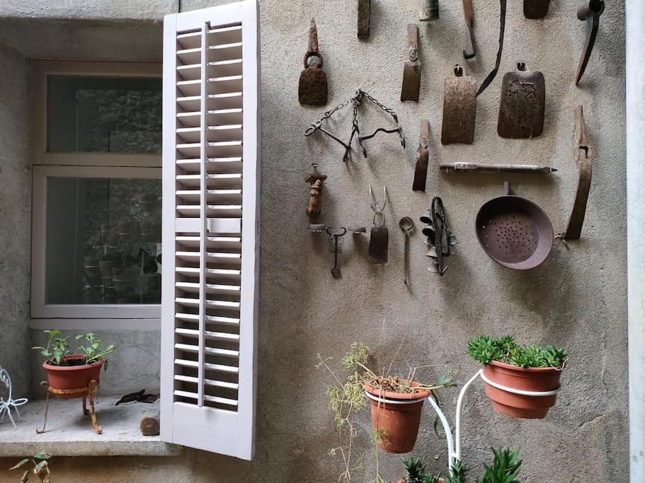 Apartament Volca Aiguanegra Sant Joan les Fonts Eksteriør bilde